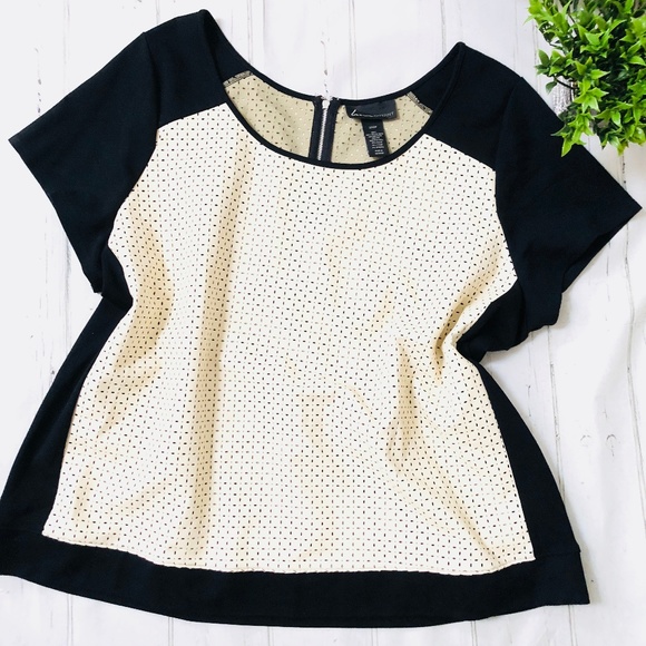 Lane Bryant Tops - {Lane Bryant} Black and Cream Plus Size 22/24